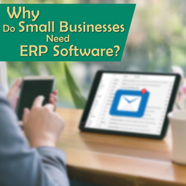 Why Do Small Businesses Need ERP Software?