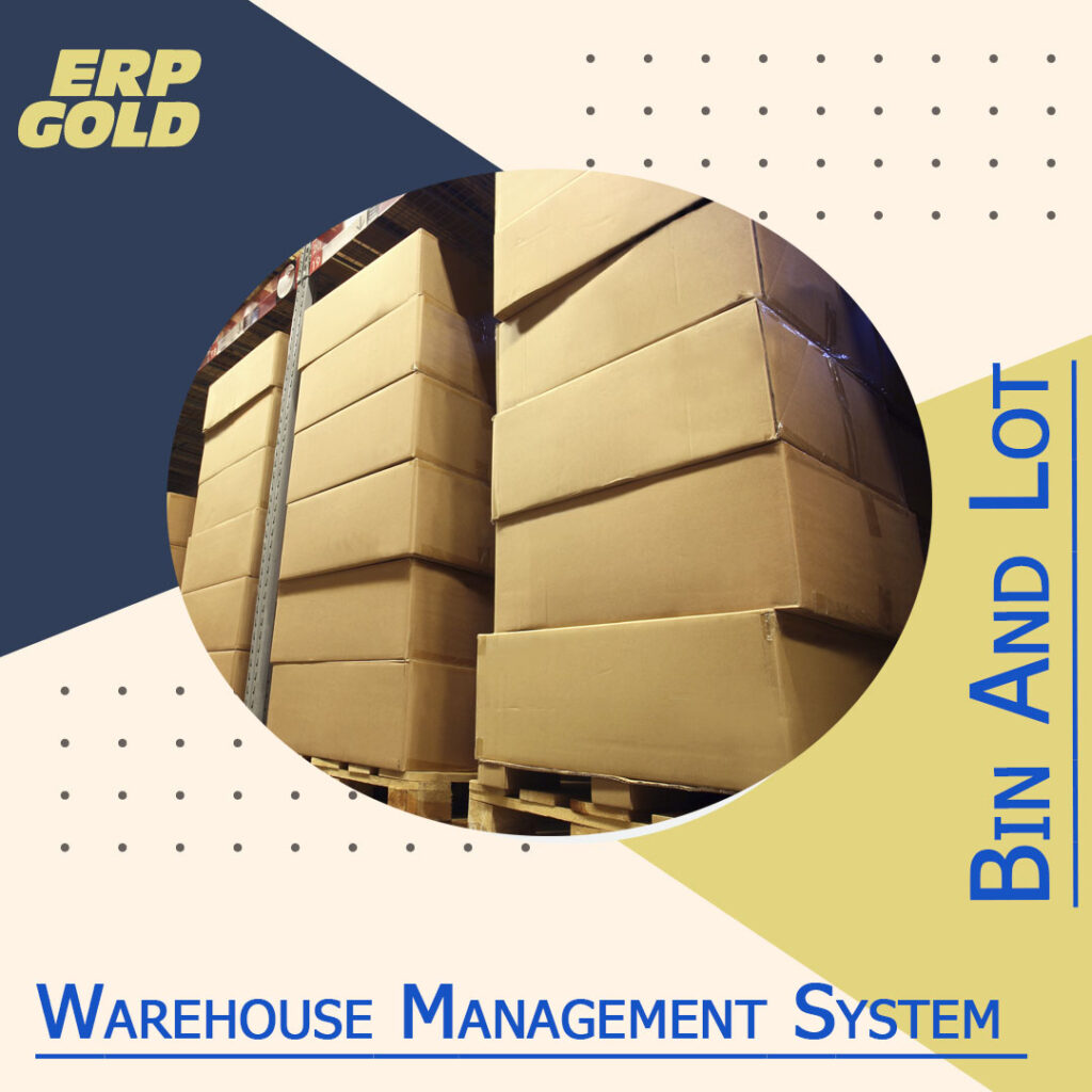 Warehouse Management System: Improve Your Inventory Tracking with Bin and Lot